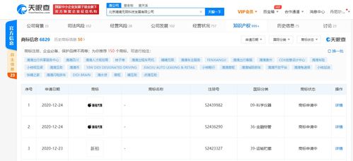 滴滴關(guān)聯(lián)公司申請(qǐng)“新桔”與“新桔代駕”商標(biāo)，推進(jìn)軟件技術(shù)轉(zhuǎn)讓